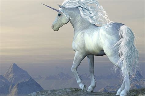 unicorn wiki|unicorn history and facts.